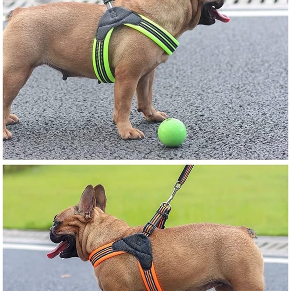 NWOT dog harness only - Picture 10 of 10